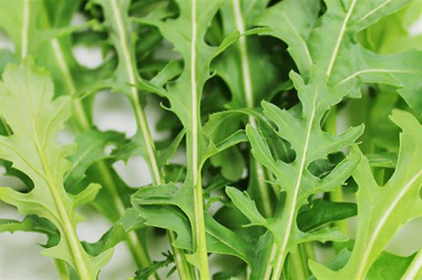 吃蔬菜要謹記五顏六色均衡攝取，才能滿足植物營養素所需，預防發炎、癌症、老人眼部疾病等。