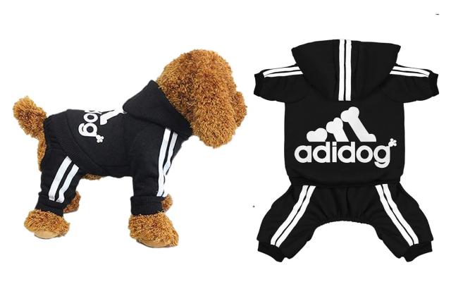 Amazon Shoppers Are Obsessed This Tracksuit for Dogs — It's Under $10