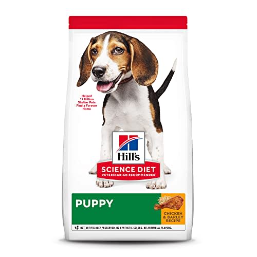 Hill's Science Diet Puppy Dry Dog Food (Amazon / Amazon)