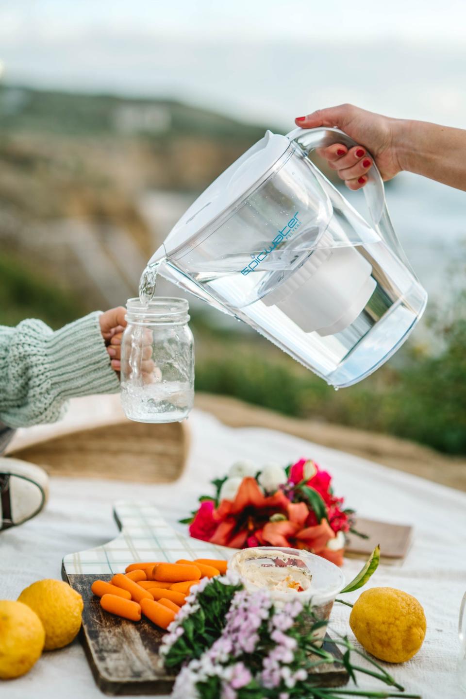 For cost, ease of use and 98% filtration of PFAS compounds, the Epic Pure pitcher scored well in an evaluation by the nonprofit Environmental Working Group of water filtering pitchers' effectiveness at removing the potentially harmful nonstick chemicals.