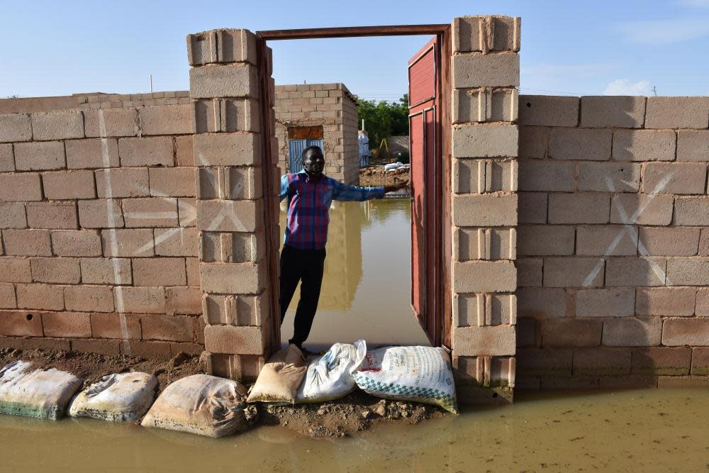 <span>Photograph: Anadolu Agency/Getty Images</span>