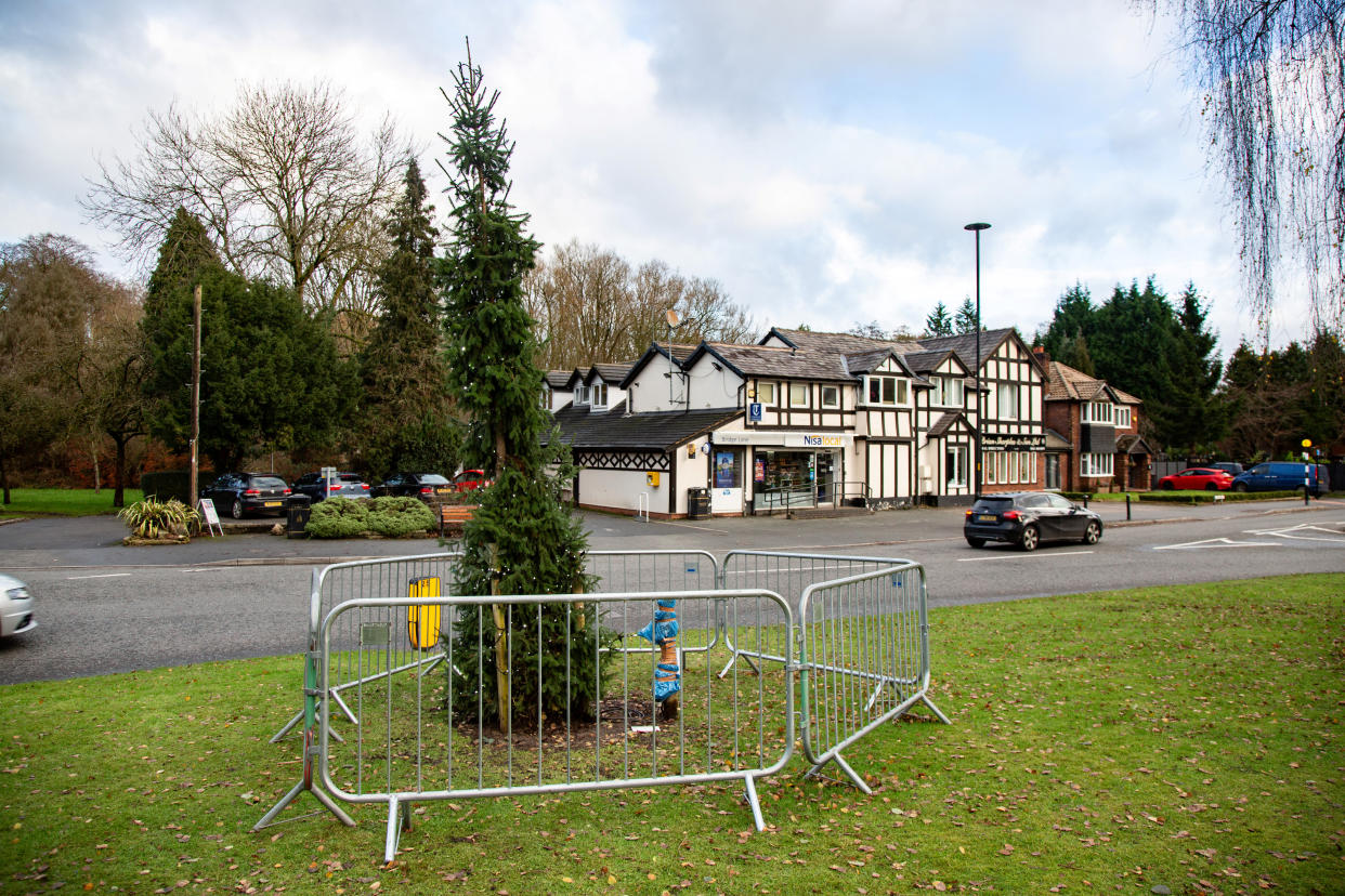 The thin, threadbare Christmas tree is situated on a major roundabout in Stockport, Greater Manchester. (SWNS)