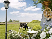 <p>It’s also the perfect place to relax and watch the animals pass by. (Airbnb) </p>