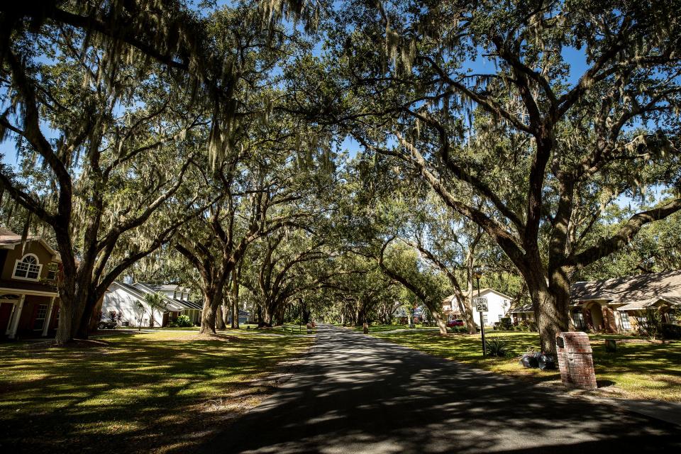 The Longwood Oaks neighborhood in South Lakeland is a tree-filed and quiet subdivision. But a dispute over the construction of a carport for a motorhome has generated anger and spawned two lawsuits.