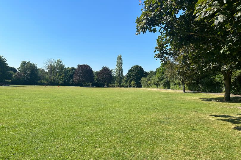 Moormead Park, Twickenham