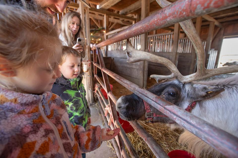 At Grandpa Tiny's Farm in Frankenmuth, Mich., 6-year-old Charlotte Eastman and 5-year-old Everett Eastman, both of Grosse Pointe, Mich., feed animal crackers to a reindeer on November 19, 2023. The male reindeer, named Blue, is one of four on the farm.