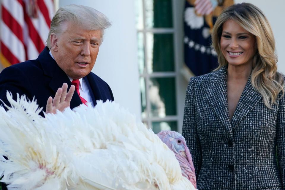 President Donald Trump pardons Corn, the National Thanksgiving Turkey, in the Rose Garden of the White House, Tuesday, Nov. 24, 2020, in Washington, as first lady Melania Trump watches.