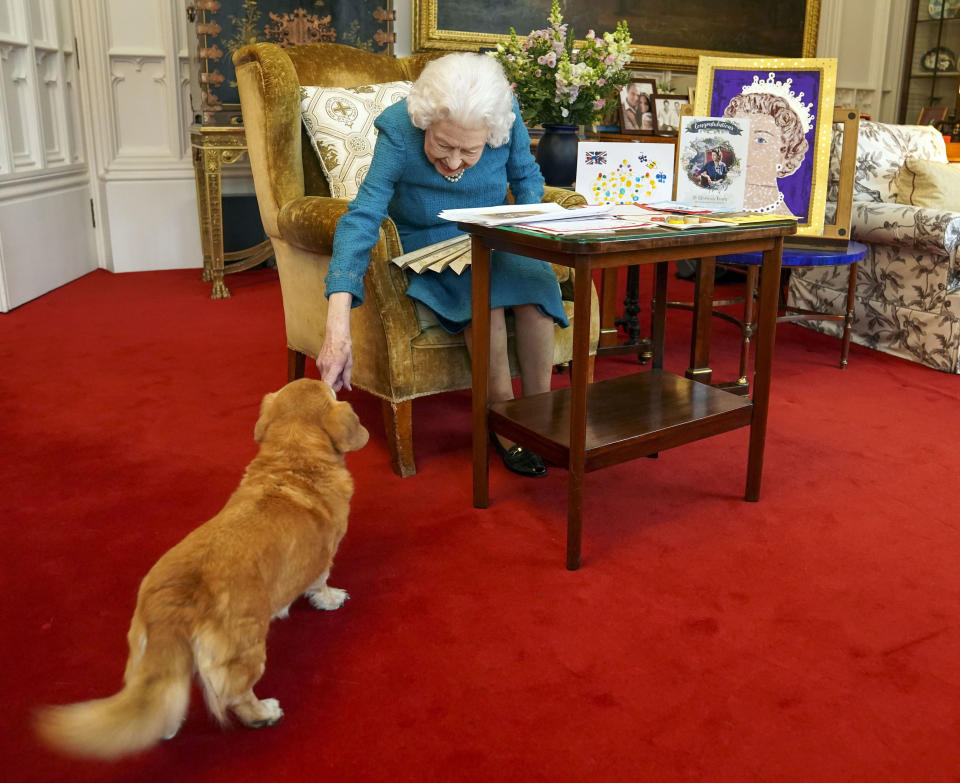 Queen Elizabeth II is joined by one of her dogs, a Dorgi called Candy, as she views a display of memorabilia from her Golden and Platinum Jubilees in the Oak Room at Windsor Castle on February 4, 2022 in Windsor, England. The Queen has since travelled to her Sandringham estate where she traditionally spends the anniversary of her accession to the throne - February 6 - a poignant day as it is the date her father King George VI died in 1952. 