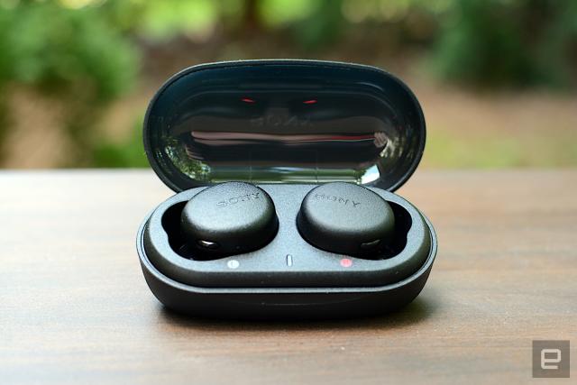 Sony True Wireless Bluetooth Earbuds (SONY-WFXB700)