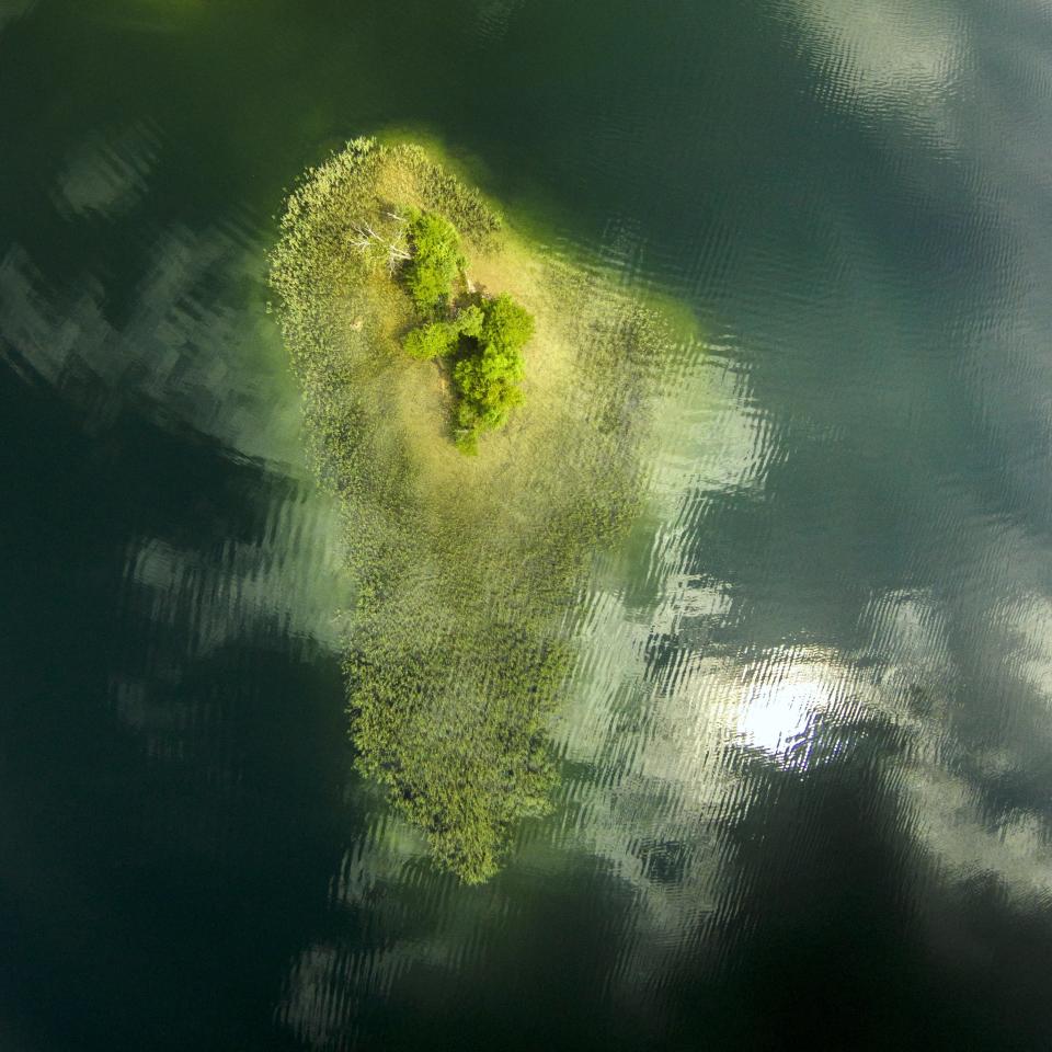 The tiny island in the lake of Galvė looks like a continent and shows us how small our world really is. One tree cut on this island, one nest pulled apart or another kind of intervention will change it beyond our recognition. It is up to us all to make our planet clean and green