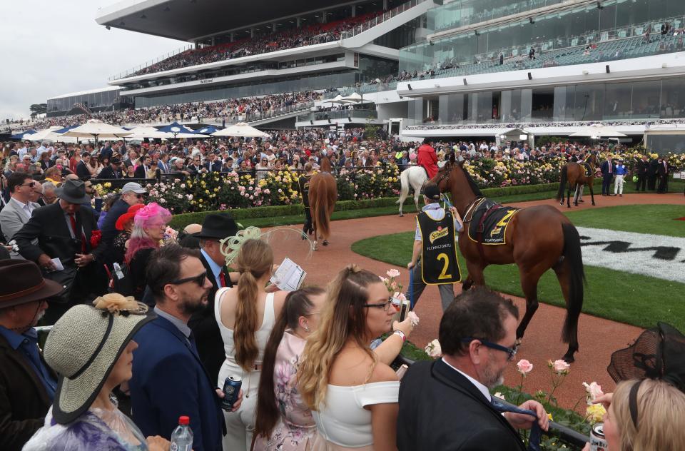 Crowds of racegoers look at horses in the mounting yard on 2018 Melbourne Cup Day at Flemington racecourse. AAP Images