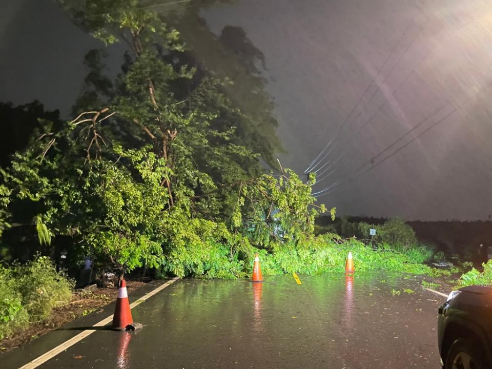 颱風來襲路樹倒塌，內埔警迅速排除並進行交通疏導，以確保民眾的安全。 圖/分局提供 下同