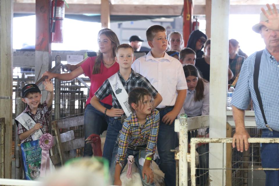The final Saturday at the Sandusky County Fair included a variety of livestock shows, and youths had their animals on display.