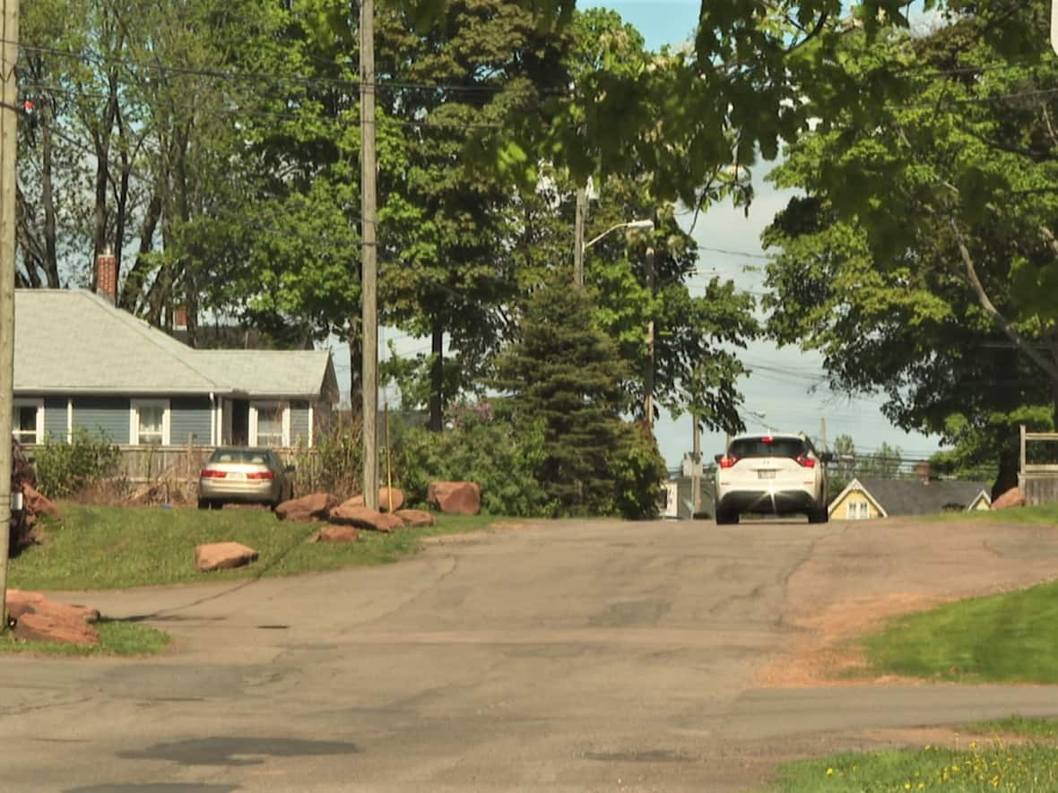 Harley Street is now home to a chicane, meant to reduce traffic. The street is seen here in June, before its redevelopment.  (Sheehan Desjardins/CBC - image credit)