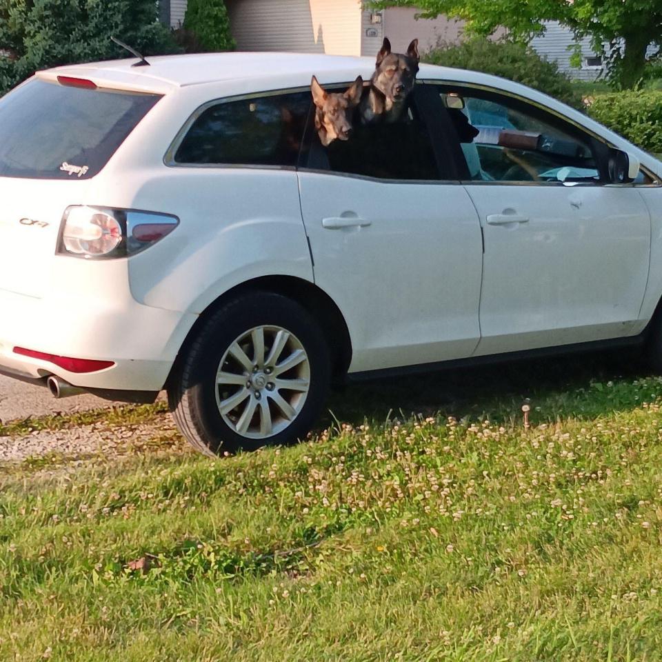 An image showing the vehicle with the German shepherds that an Oak Creek woman says attacked her and and two small dogs she was walking on Nov. 30.