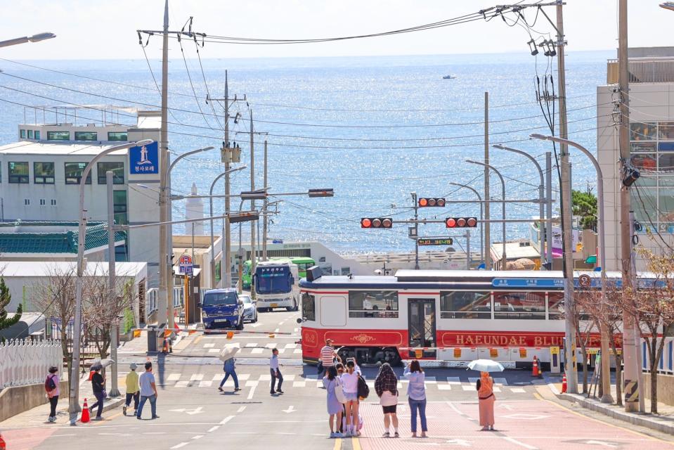 「海雲台藍線海濱列車」擁有復古車廂造型的海濱列車。