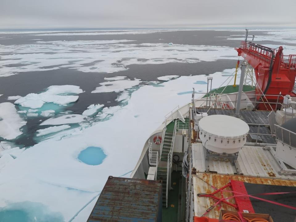 Arctic shipping is a source of black carbon, contributing to ice and snow melting and warming of the Arctic. This photo of sea ice on the Wandel Sea north of Greenland was taken Aug. 16, 2020. Sea ice concentration in Arctic waters is decreasing, which makes shipping more viable.  (Felix Linhardt/Kiel University - image credit)