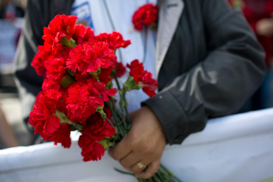 A man holds a bunch of red carnations while taking part in a march celebrating the 40th anniversary of the Carnation Revolution, Friday April 25, 2014 in Lisbon's Liberdade Avenue. The Carnation Revolution, which saw a million people fill the streets in a mass celebration, is regarded as one of the glorious moments of Portugal's 20th-century history. It is named for the red flowers — in season and plentiful at the time — which people stuck in the barrels of soldiers' rifles on that landmark day. (AP Photo/Armando Franca)