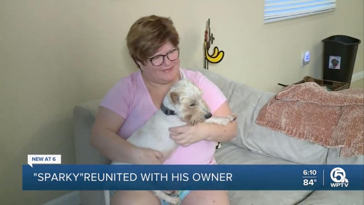 Florida woman spots missing dog on FB and is reunited