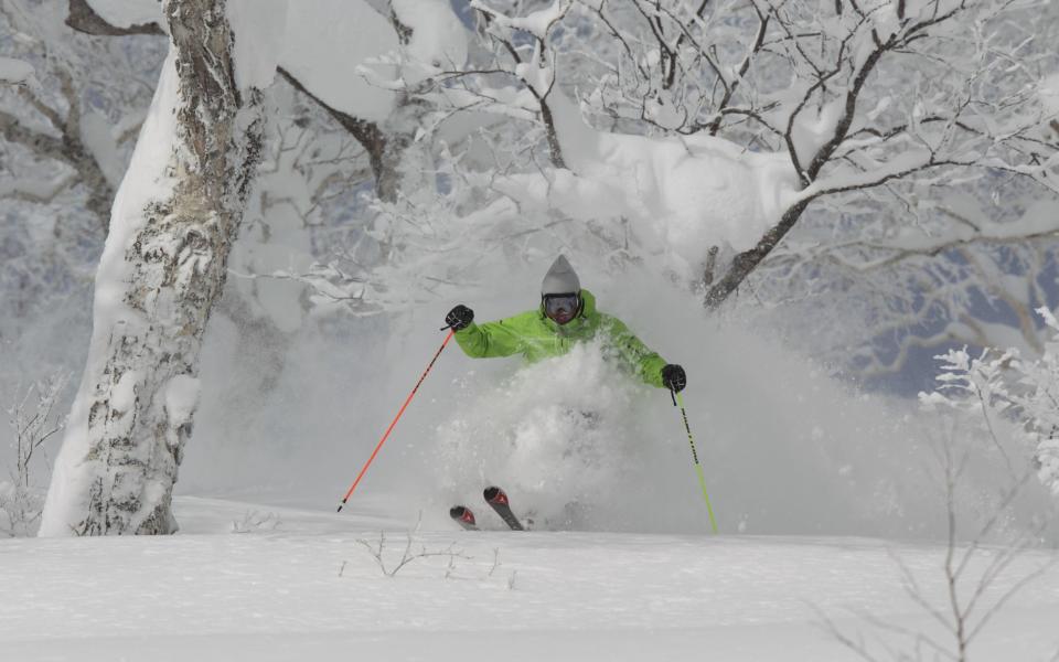 Furano Japan