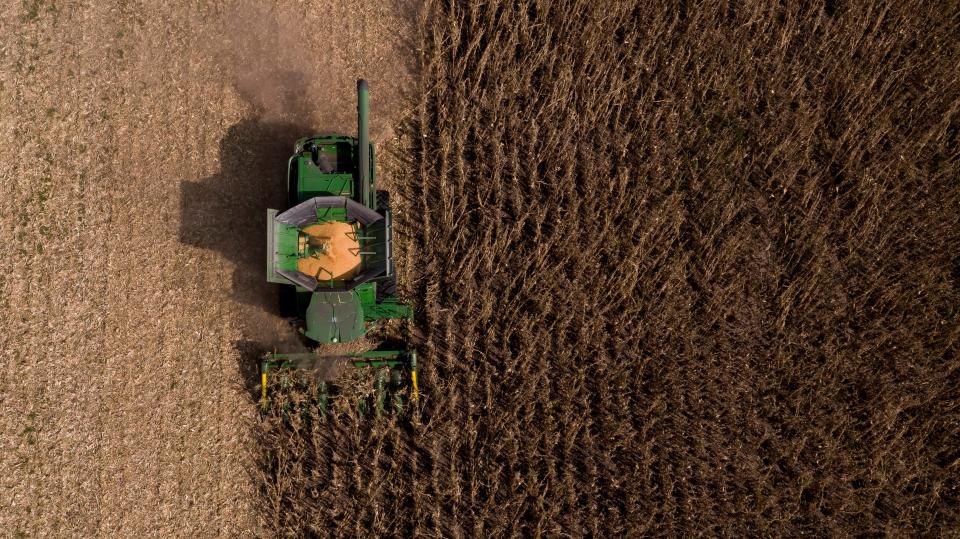 Denny Friest harvests corn from a field that was partially hit by the August 10th derecho on Tuesday, Sept. 22, 2020 in Hardin County. The harvest is taking him twice as long in derecho hit fields because he can only run the combine in one direction to pick up the flattened corn stalks.