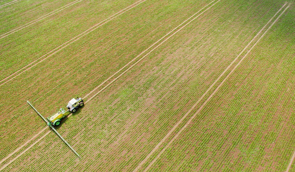 <p>A farmer on a tractor sprays selective herbicides to control weeds on a field of sugar beets in Munstedt, Germany, on May 30, 2016. (Julian Stratenschulte/EPA) </p>