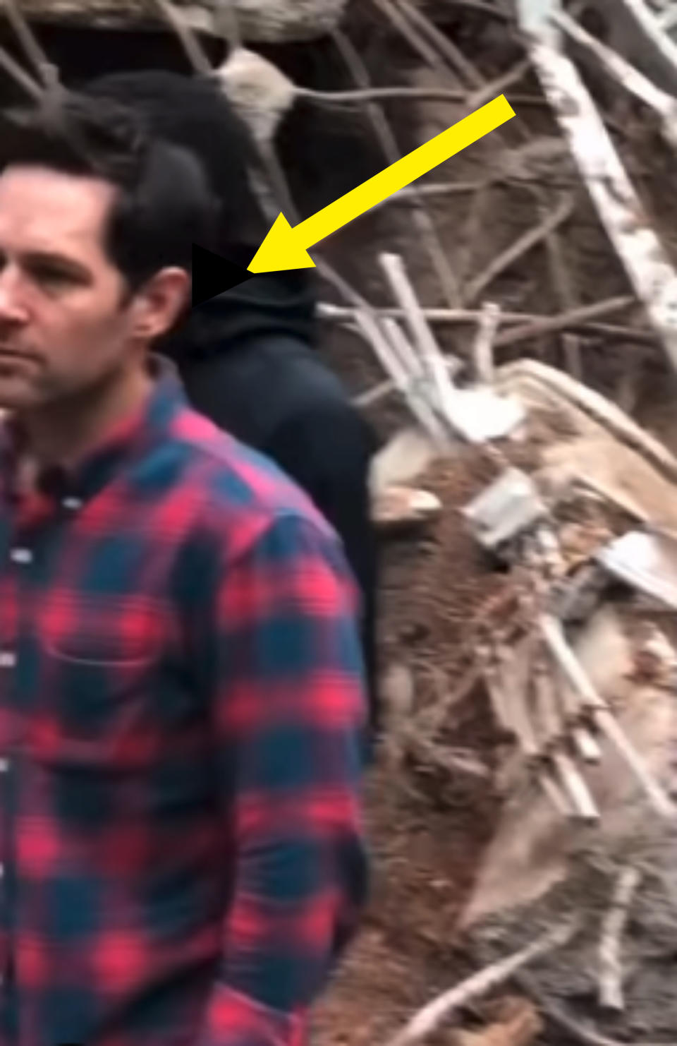 Arrow pointing to Paul Rudd