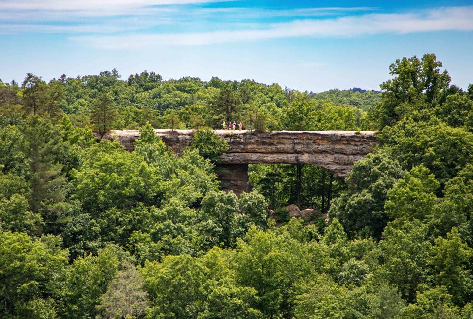 <p>Kentucky State Parks</p>