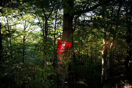 A sign of a minefield is seen in Zeleni Jadar near Srebrenica, Bosnia and Herzegovina, September 28, 2018. REUTERS/Dado Ruvic