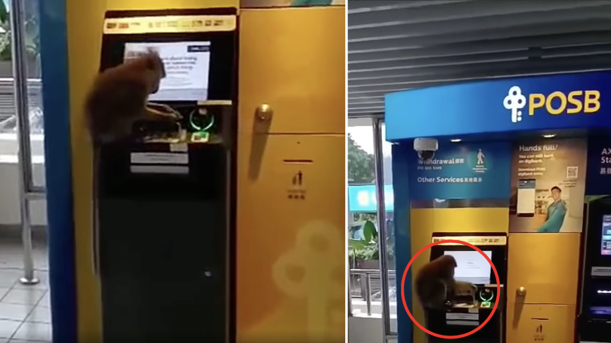 Screen grabs of wild monkey caught playing with ATM machine at Beauty World Centre posted on Facebook (Photos: Abby Hew/Singapore Incidents Facebook)