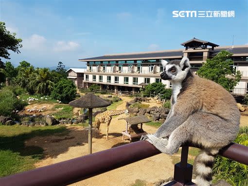 六福旅遊集團首次推出超狂「六福莊十周年慶買一送一」住房專案，住六福莊送六福萬怡（圖／六福旅遊集團提供）