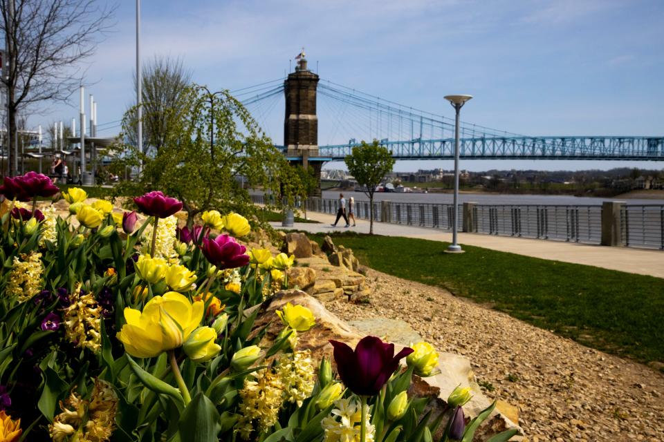 Smale Riverfront Park is the No. 1 riverwalk in America, according to USA TODAY's 10Best Readers’ Choice Awards.