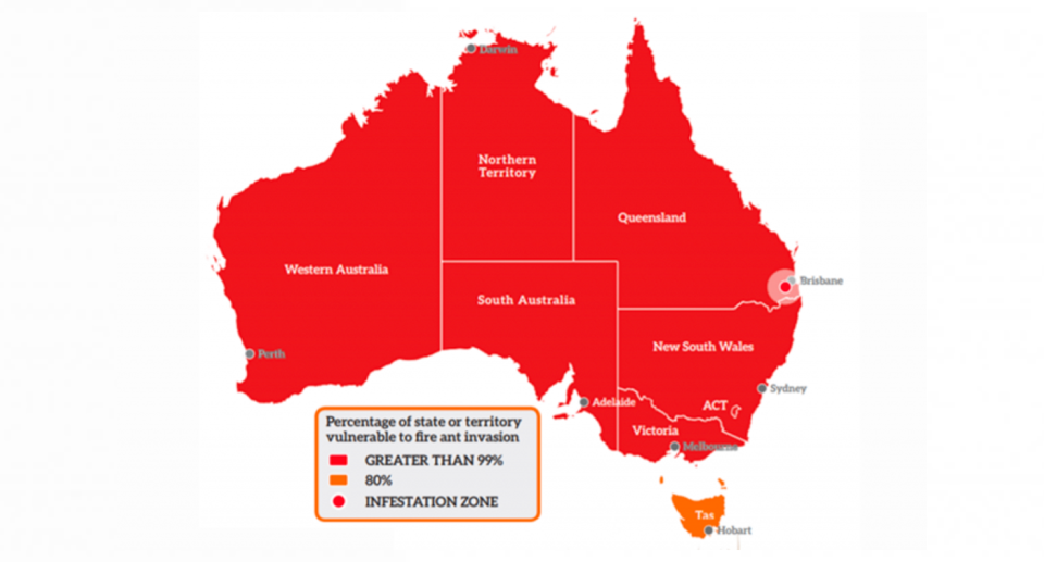 A map of Australia showing where fire ants could spread.