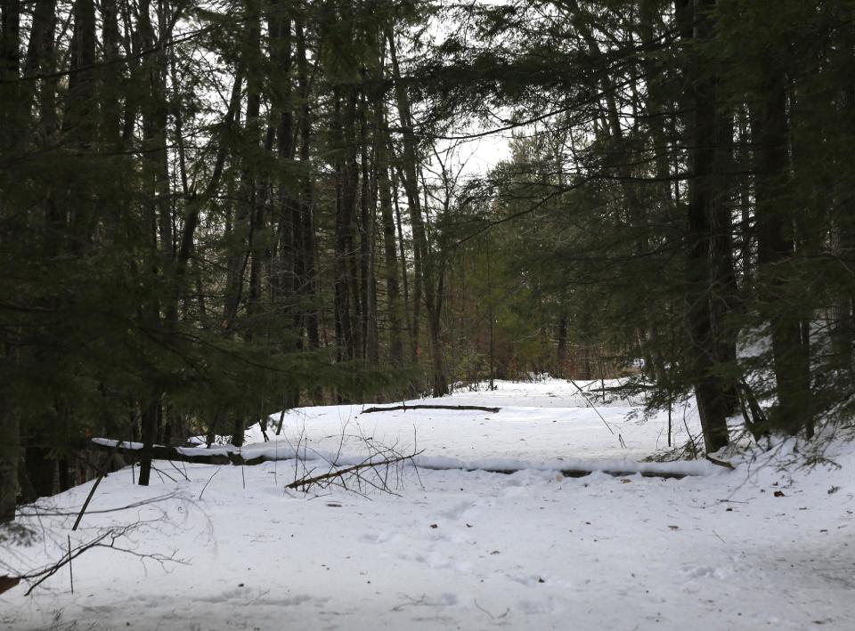 A pathway is seen running through a ravine on Wednesday, Feb. 26, 2014, in Lake George, N.Y. In the 1990s, businessman Anthony Tomasovic was granted permission to fill in his vacant, sloping property bordering the ravine where British Colonial troops and their Mohawk Indian allies were ambushed by a larger force of French and Indians in 1755. The land borders the wooded ravine where about 1,000 British Colonial troops and 200 of their Mohawk Indian allies were ambushed by a larger force of French and Indians on the morning of Sept. 8, 1755. Patten is convinced many of the scores of casualties from the ambush were buried afterward in the ravine. (AP Photo/Mike Groll)