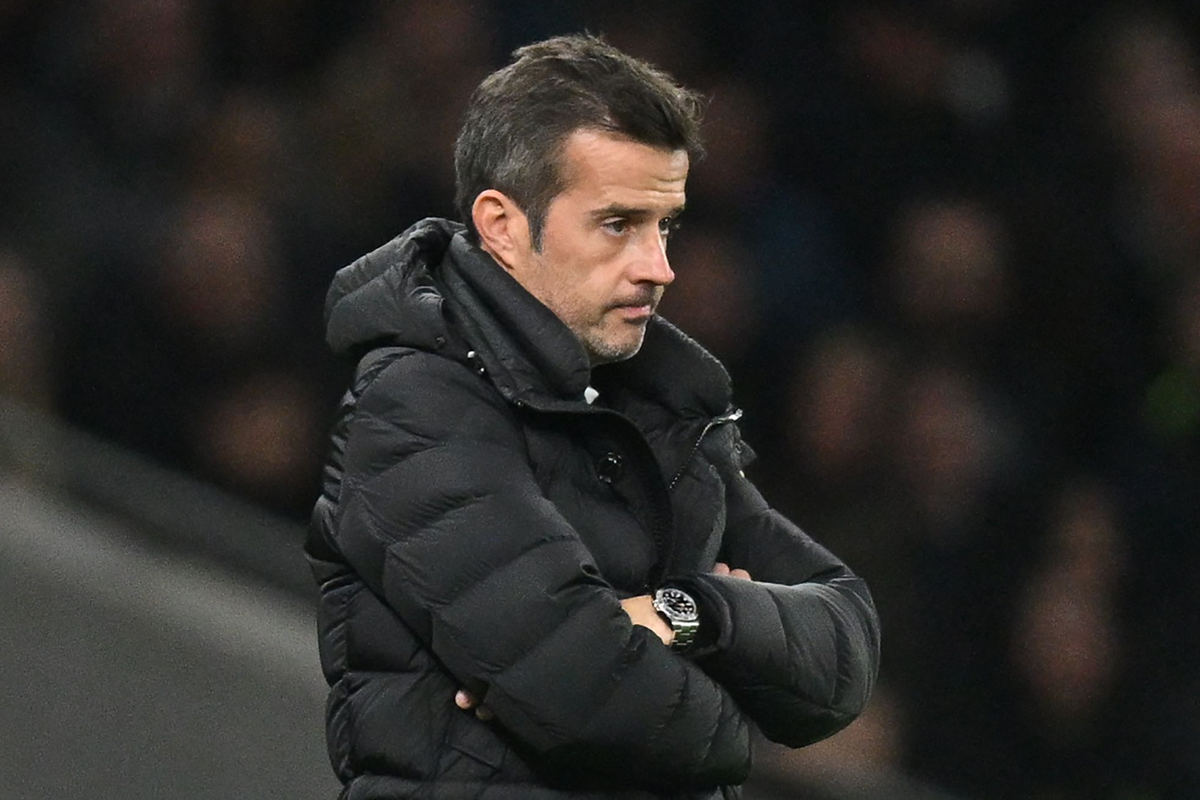 Marco Silva spoke after Fulham were beaten by Tottenham (AFP via Getty Images)