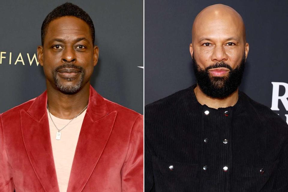 <p>Jon Kopaloff/WireImage; Mike Coppola/WireImage</p> Sterling K. Brown and Common