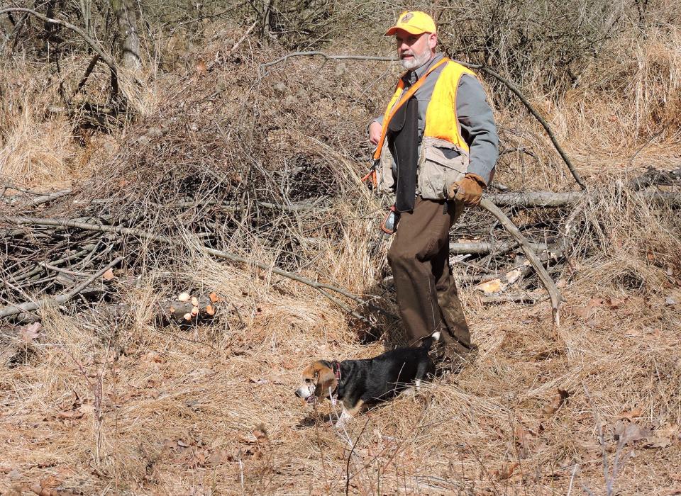 Travis Lau walks along a path on State Game Lands 53 Feb. 20, 2023, in Fulton County while rabbit hunting with his three beagles.