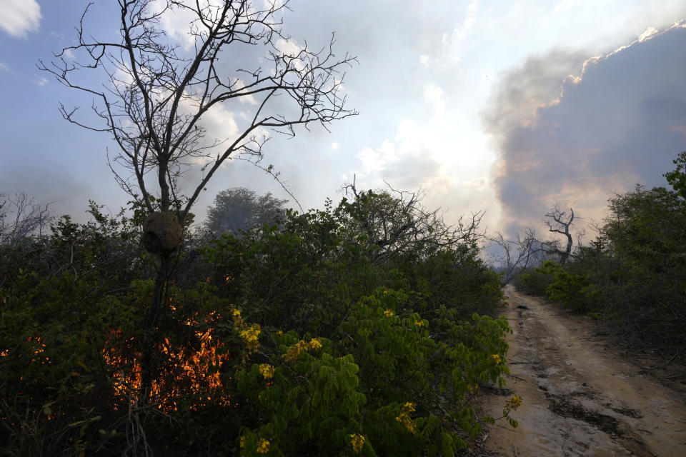 An extensive area of the Serra das Bandeiras forest burns in Barreiras, western Bahia state, Brazil, Thursday, Sept. 21, 2023. According to the National Center for Prevention and Combat of Forest Fires, the fires are being fanned by strong winds, high temperatures, and dry weather. (AP Photo/Eraldo Peres)