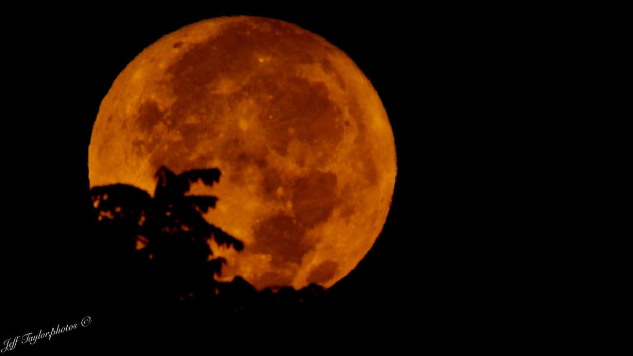 Eyes to the sky tonight for the Super Harvest Moon