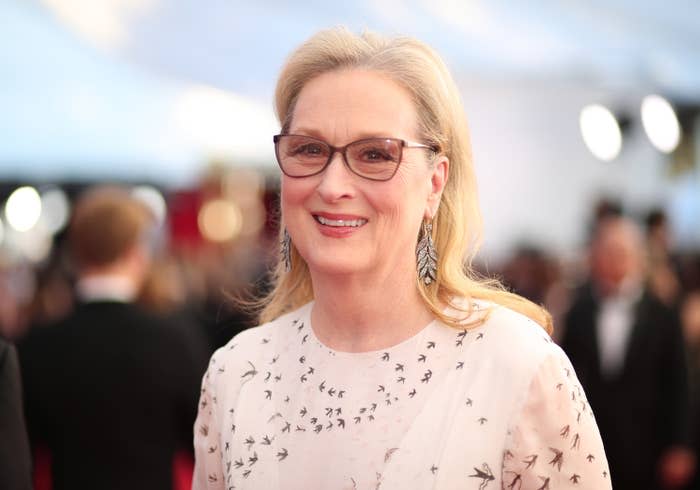 Meryl Streep attends The 23rd Annual Screen Actors Guild Awards