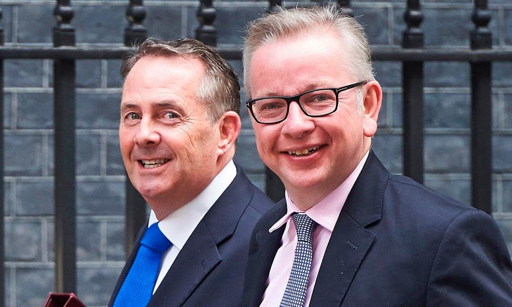 Liam Fox and Michael Gove