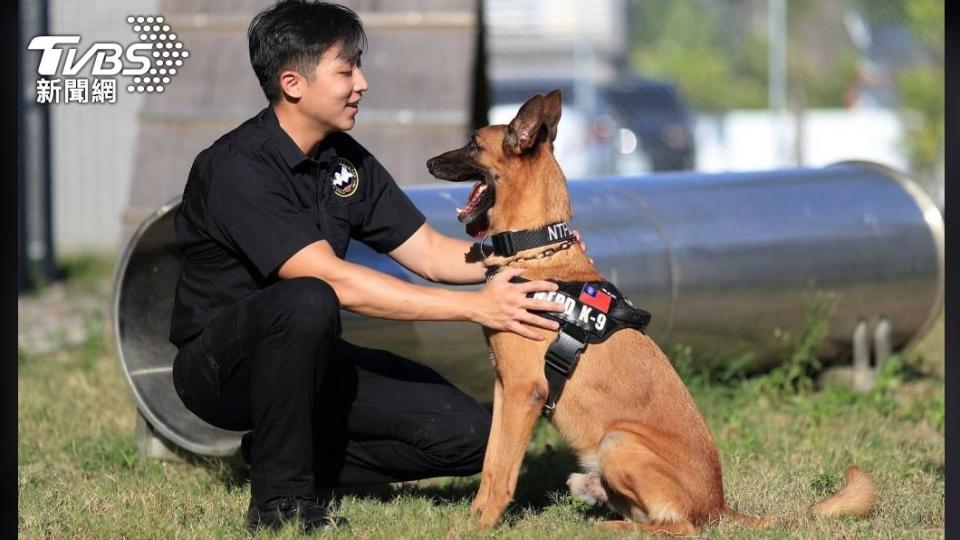 元老級偵爆犬「粗骨」上個月病逝。（圖／TVBS）