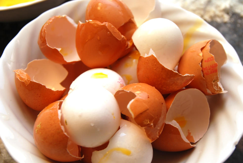 eggshells in a cup