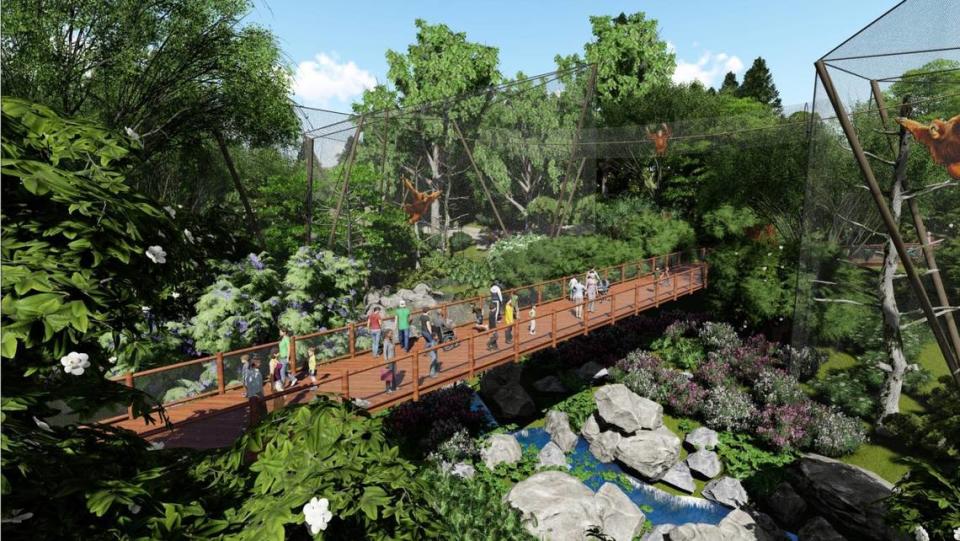 A rendering of a proposed primate forest bridge at Riverbanks Zoo, which is proposing a sweeping expansion project.