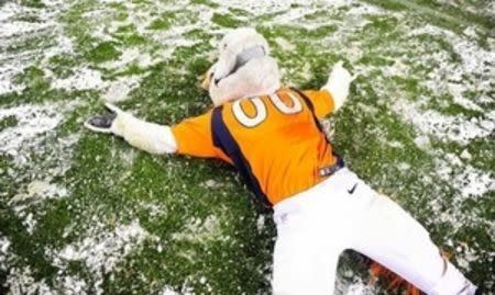 Denver Broncos mascot Miles makes snow angles following the overtime against the New England Patriots at Sports Authority Field at Mile High. The Broncos defeated the Patriots 30-24 in overtime. Mandatory Credit: Ron Chenoy-USA TODAY Sports