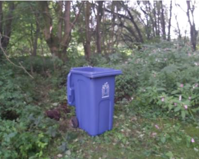 Pictured is a blue wheelie been among forest greenery. 