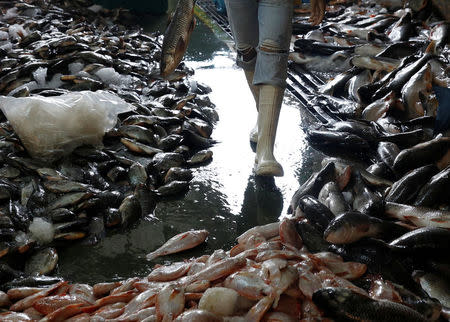 A fisherman sorts out his catch at a wet market in Malaysia's southern city of Johor Bahru April 26, 2017. REUTERS/Edgar Su