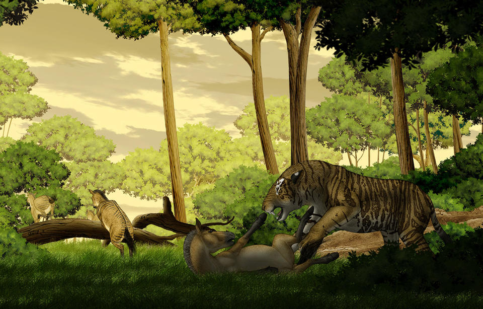 Short-legged horses may have been hunted by M. horribilis in the steppes of northwestern China, millions of years ago. <cite>Courtesy of T. Deng/IVPP, artwork by Y. Chen</cite>