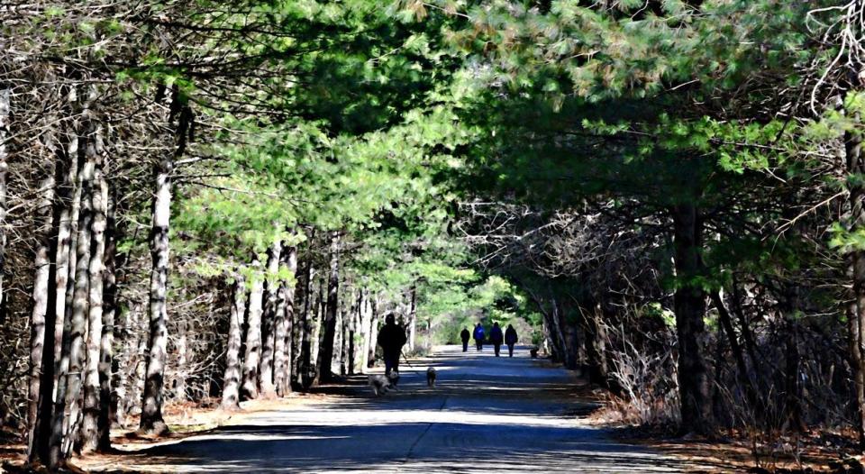 Wompatuck State Park in Hingham.