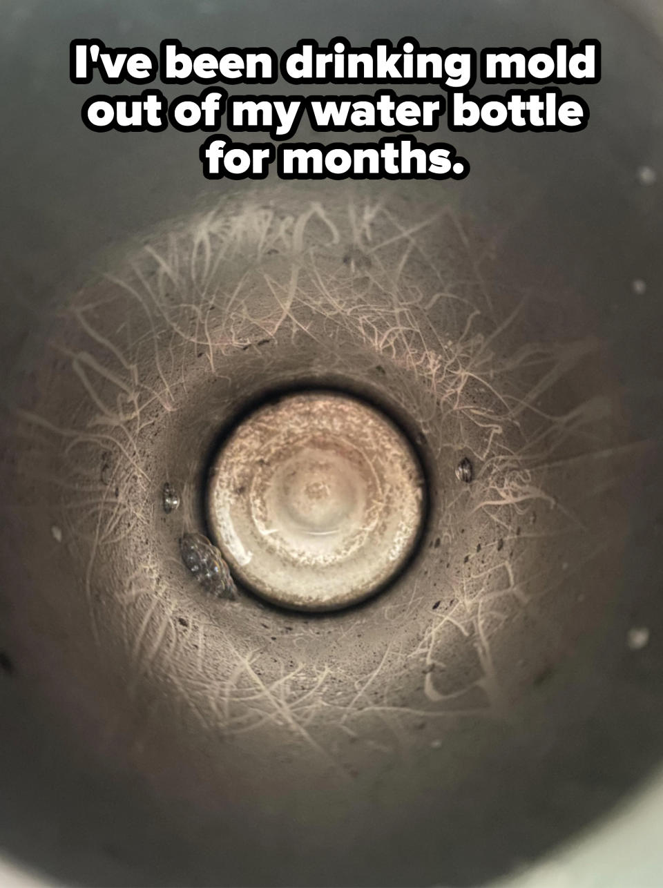 The moldy interior of a water bottle with caption, "I've been drinking mold out of my water bottle for months"